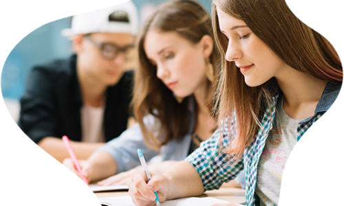 Adobe Illustrator Elementary course